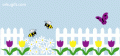 Comments, Graphics - Holidays and Events 